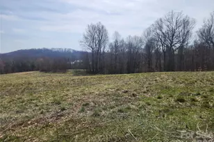 363 Center Church Rd, Hiddenite, NC 28636 - Photo 45