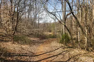 363 Center Church Rd, Hiddenite, NC 28636 - Photo 41