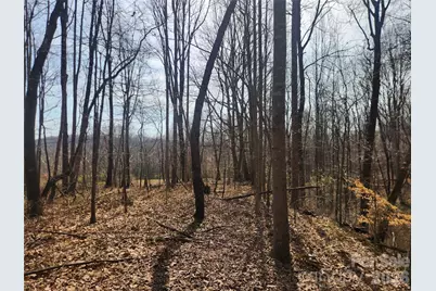 363 Center Church Road, Hiddenite, NC 28636 - Photo 47