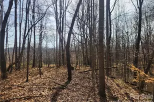 363 Center Church Rd, Hiddenite, NC 28636 - Photo 47