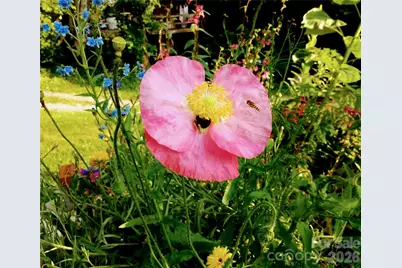 429 Biodome Drive, Waynesville, NC 28785 - Photo 37