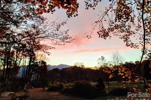 429 Biodome Dr, Waynesville, NC 28785 - Photo 39