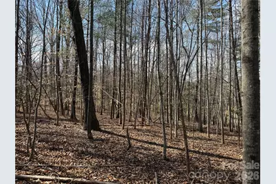 0 Conley Road, Morganton, NC 28655 - Photo 3