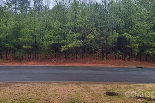 1510 Reflection Pointe Blvd, Belmont, NC 28012 - Photo 1