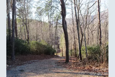 0 Levi Road, Columbus, NC 28722 - Photo 37