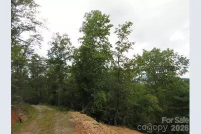 0 Levi Road, Columbus, NC 28722 - Photo 11