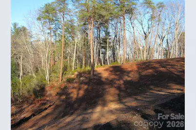 0 Levi Road, Columbus, NC 28722 - Photo 41