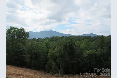 0 Levi Road, Columbus, NC 28722 - Photo 25