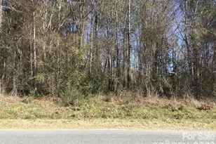 00 Hasty Rd, Peachland, NC 28133 - Photo 1