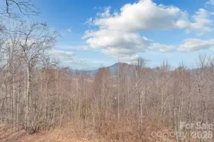 461 Arrowhead Ridge Rd, Spruce Pine, NC 28777 - Photo 41