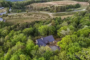 3434 Old Jonas Ridge Rd, Newland, NC 28657 - Photo 39