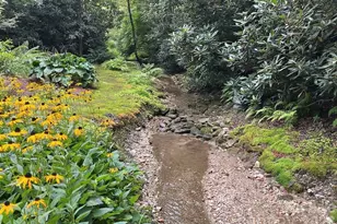 3434 Old Jonas Ridge Rd, Newland, NC 28657 - Photo 11