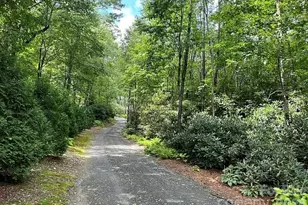 3434 Old Jonas Ridge Rd, Newland, NC 28657 - Photo 9