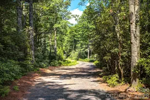 3434 Old Jonas Ridge Rd, Newland, NC 28657 - Photo 45