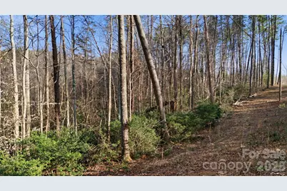 0 Hooker Road, Tryon, NC 28782 - Photo 13