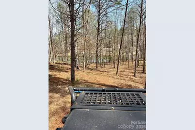 2289 Castle Peak Mountain Mountain #133, Connelly Springs, NC 28612 - Photo 3