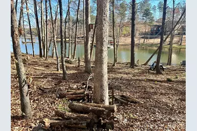2289 Castle Peak Mountain Mountain #133, Connelly Springs, NC 28612 - Photo 1