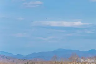 1031 Hillside Ridge Rd, Candler, NC 28715 - Photo 43