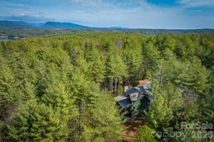 40 Kingfisher Trce, Nebo, NC 28761 - Photo 11