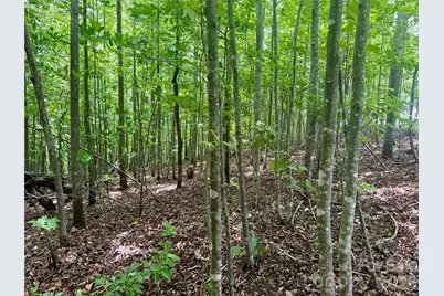 V/L Scenic Vista Drive #248, Nebo, NC 28761 - Photo 5