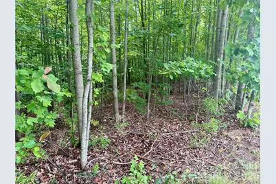 V/L Scenic Vista Drive #248, Nebo, NC 28761 - Photo 11