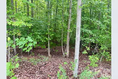 V/L Scenic Vista Drive #248, Nebo, NC 28761 - Photo 3