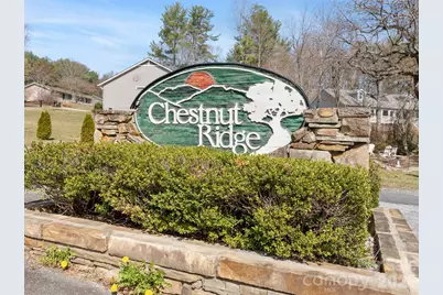 163 Oak Apple Lane, Hendersonville, NC 28792 - Photo 11