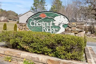 163 Oak Apple Ln, Hendersonville, NC 28792 - Photo 11