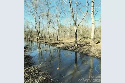 0 Farmer Johns Trail #9, Rutherfordton, NC 28139 - Photo 3