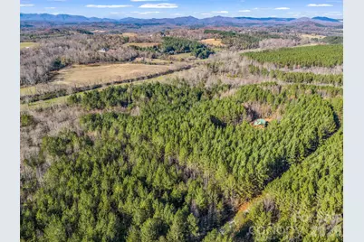 0 Farmer Johns Trail #9, Rutherfordton, NC 28139 - Photo 9