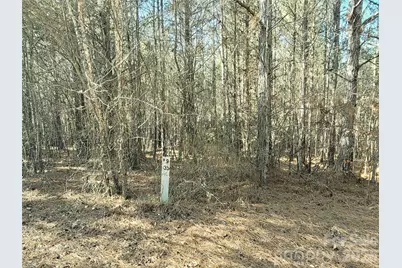 0 Farmer Johns Trail #9, Rutherfordton, NC 28139 - Photo 11