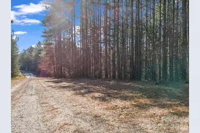0 Farmer Johns Trail #9, Rutherfordton, NC 28139 - Photo 5