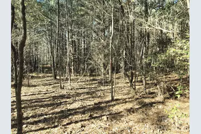 0 Farmer Johns Trail #9, Rutherfordton, NC 28139 - Photo 13