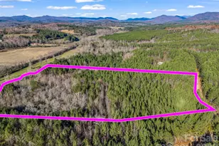 0 Farmer Johns Trail, Rutherfordton, NC 28139 - Photo 1