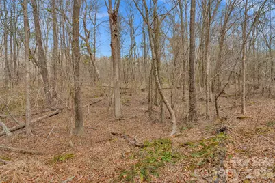 0000 Coldstream Road, Heath Springs, SC 29058 - Photo 19