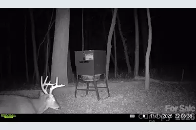 0000 Coldstream Road, Heath Springs, SC 29058 - Photo 9