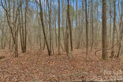 0000 Coldstream Road, Heath Springs, SC 29058 - Photo 27