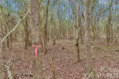 0000 Coldstream Road, Heath Springs, SC 29058 - Photo 25