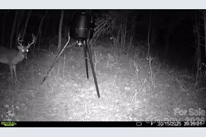 0000 Coldstream Road, Heath Springs, SC 29058 - Photo 3