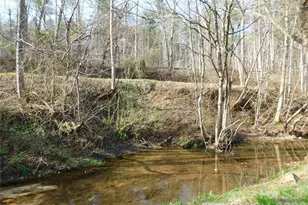 102 Jeff St, Hendersonville, NC 28739 - Photo 9