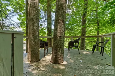 189 Poverty Branch Road, Barnardsville, NC 28709 - Photo 39