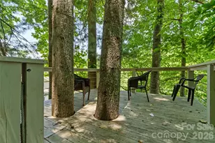 189 Poverty Branch Rd, Barnardsville, NC 28709 - Photo 39