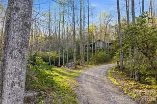 163 Bear Track Ln, Vilas, NC 28692 - Photo 9
