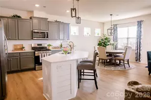 7025 Hamilton Mill Dr, Waxhaw, NC 28173 - Photo 5