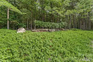 5809 Old Nc 18 None, Connelly Springs, NC 28612 - Photo 37