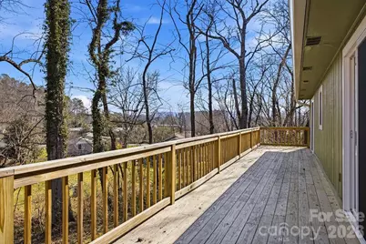 68 Palmer Street, Brevard, NC 28712 - Photo 19