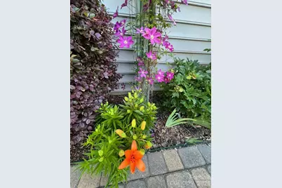 1104 Aringill Lane, Stallings, NC 28104 - Photo 19