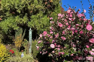 1104 Aringill Ln, Stallings, NC 28104 - Photo 19