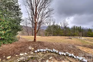 21 Eagle Rock Rd, Landrum, SC 29356 - Photo 45