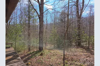 135 Cataloochee Lane, Waynesville, NC 28785 - Photo 43